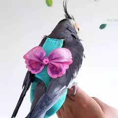 1 pçs papagaio pássaro fraldas com arnês trela roupas de vôo terno para pequenos pássaros médios periquitos papagaio cockatiel roupas de pássaros na internet