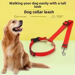 Cinto de segurança para animais de estimação, trela de chumbo de nylon, cinto de segurança ajustável para cães, coleira, acessórios para animais de estimação, cor sólida, dois em um - comprar online