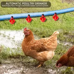 Tigela de alimentação automática de água potável, Leak Proof, frango, codornas, pássaros, suprimentos de reprodução, frango, 10 pcs, 20 pcs, 30pcs