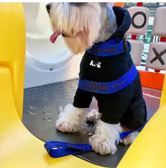 Coleira de nylon para cães, coleira para animais de estimação, ajustável, moderna e durável, cinto de segurança, seguro, pequeno, médio, acessórios para cachorros - loja online