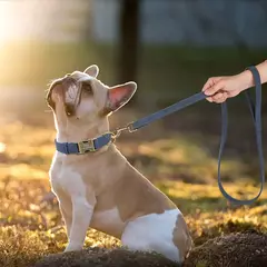 Coleira e coleira para cães personalizados, conjunto de coleira de couro pu com corda de chumbo, fivela de identificação gravada personalizada para cães pequenos e grandes na internet