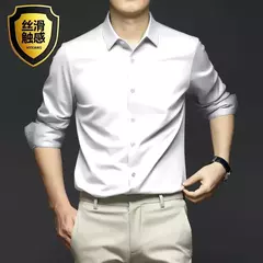 Camisa de manga comprida masculina, fato casual profissional, camisa branca, resistente a rugas sem ferro, vestido de negócios, high end, S-5XL