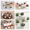 Mini suculenta artificial planta verde plástico Wwhite bacia, Home Window Sill, Restaurante Desktop Bookshelf Decoração, 6pcs por conjunto