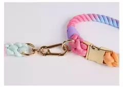 Imagem do Coleira de cachorro arco-íris para animais de estimação, coleira para treinamento de caminhada com fivela de metal para cinto grande, médio e pequeno, coleira de algodão para cães