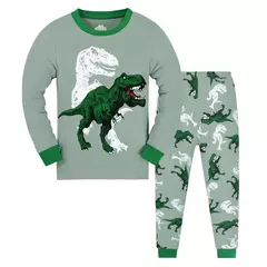 T-Rex infantil com padrão de dinossauro pijama, top e calça de manga comprida, pijama casual confortável, loungewear para menino na internet
