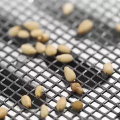 Auto-adesivo dreno de piso adesivos, Cutable chuveiro dreno, malha descartável, pia filtro filtro para banheiro, cabelo catcher, 5-100m - loja online