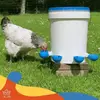 5 pçs kit aves alimentador de água automático frango tigela potável alimentação rega supplie frango waterer