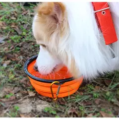 Imagem do Tigelas dobráveis para cães, tigelas portáteis para viagem, expansíveis para cães e gatos, tigela de água, prato de alimentação de alimentos, tigela de silicone para animais de estimação 350/1000ml