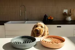 Imagem do Suprimentos para animais de estimação tigela de comida lenta gato anti-queda tigela de comida antiderrapante filhote de cachorro anti-asfixia brinquedo de silicone placa de comida