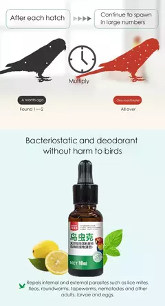 Papagaios e pombos deworming, piolhos de penas, roundworms, pulgas e piolhos, desworming dentro e fora 10ml - comprar online