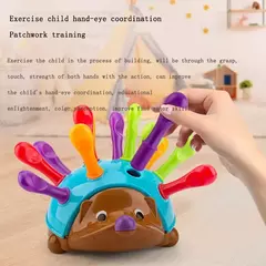 Ouriço Montessori Brinquedos para o Bebê, Treinamento de Concentração, Educação Infantil, Fine Motor e Brinquedos Sensoriais, Ortografia, Pouco - comprar online