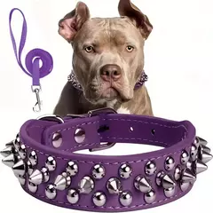 Conjunto de coleira e coleira para cachorro com pontas, coleira de couro com rebite ajustável para caminhada ao ar livre - comprar online