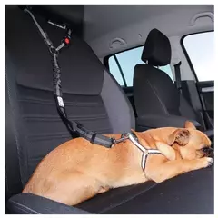 Coleira sólida anti-choque dois em um para cães, cinto de segurança para animais de estimação com clipe, cinto de segurança para banco traseiro, coleira para gatinhos, acessórios para animais de estimação
