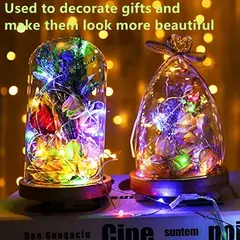 Bateria Powered String Fairy Lights com Bateria, Fio De Cobre De Prata, Decorações De Festa De Casamento, Decoração De Natal, Pacote De 20 - Wolf Magazine