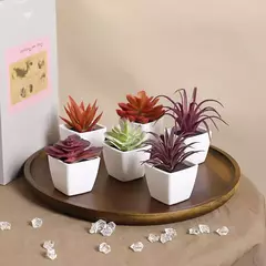 Mini suculenta artificial planta verde plástico Wwhite bacia, Home Window Sill, Restaurante Desktop Bookshelf Decoração, 6pcs por conjunto - Wolf Magazine