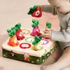 Montessori Belas Habilidades Motoras Toy Training for Babies, Color Learning, Brinquedos Educativos para Crianças, Pré-Escolar Atividade Sensorial