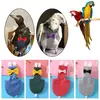 Papagaio pombo fralda vôo terno pássaro fralda papagaio roupas para verde bochecha periquito cockatiel conure pequeno médio grandes aves