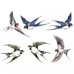 Filme de janela sem cola parar pássaros de bater janelas decalque diy estático adere vidro adere adesivo anti-colisão - comprar online