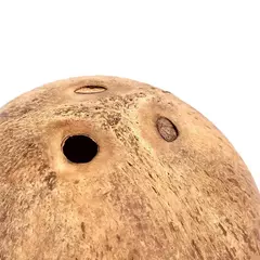 Imagem do Casa de hamster resistente à mordida natural pequeno animal de estimação gaiolas de coco cobaia hamster esconderijo casa brinquedo casa de madeira suprimentos para animais de estimação