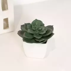 Mini suculenta artificial planta verde plástico Wwhite bacia, Home Window Sill, Restaurante Desktop Bookshelf Decoração, 6pcs por conjunto - comprar online