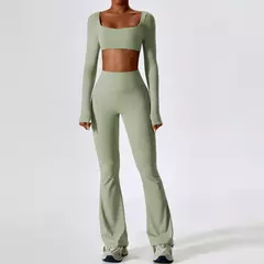 Terno esportivo de manga comprida para mulheres, conjunto de ioga fitness, roupas de ginástica, roupas esportivas femininas, camisa de corrida, 2 peças na internet