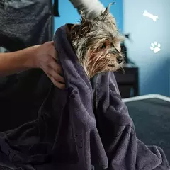 Toalha para animais de estimação 60x100cm, toalha de banho para cães e gatos, microfibra, secagem rápida, absorvente, azul, cinza, produtos de banho para animais de estimação - loja online