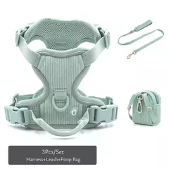 Coleira de cachorro personalizada, arnês para cães gravado, leve, veludo, designer, coleira e coleira, conjunto acolchoado, totalmente ajustável - comprar online