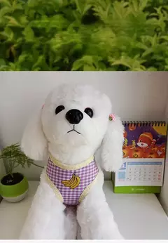 Corda de tração para cães, corda para caminhada, corrente para cães pequenos, colete para animais de estimação, conjunto de coleira e coleira para cães - Wolf Magazine
