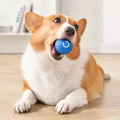 Bola de brinquedo inteligente para cachorro, brinquedo interativo eletrônico para animais de estimação, bola móvel, usb, movimento automático, saltando para filhote de cachorro, presente de aniversário, produtos para gatos - Wolf Magazine