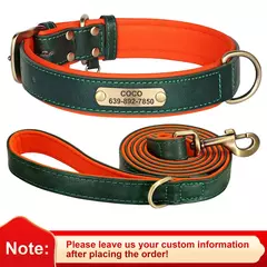Coleira de identificação de cachorro personalizada com coleira macia acolchoada de couro PU conjunto de coleira e coleira anti-perda para cães pequenos, médios e grandes - Wolf Magazine