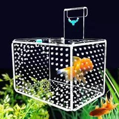 Caixa de isolamento para tanque de peixes, calibre 1mm/3mm, acrílico, caixa de reprodução de aquário, proteção para peixes pequenos, caixa de incubação de fritar suspensa - loja online