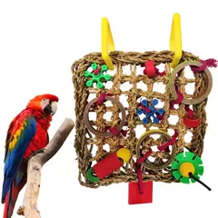 Imagem do 8 pçs conjunto combinação papagaio pássaro brinquedos artigos de madeira mordida pet pássaro brinquedos para papagaio treinamento pássaro brinquedo balanço bola sino em pé