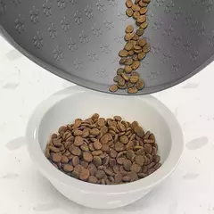 Pet placemat gato comida tigela esteira de alimentação do cão gato cão beber alimentação placemat silicone impermeável antiderrapante pet alimentador esteiras na internet