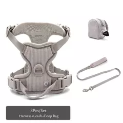 Coleira de cachorro personalizada, arnês para cães gravado, leve, veludo, designer, coleira e coleira, conjunto acolchoado, totalmente ajustável na internet
