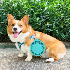 Imagem do 350/600ml dobrável cão animal de estimação tigela de silicone dobrável viagem ao ar livre portátil filhote de cachorro recipiente comida alimentador prato tigela suprimentos para animais de estimação