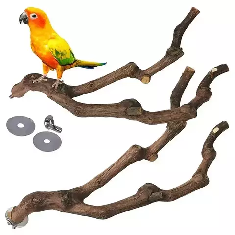 Pet pé vara uva selvagem pólo de madeira papagaio cockatiel periquito estação placa mordida garra moagem brinquedo gaiola pássaro acessórios
