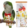 Green Parrot Fralda Flight Suit, fralda roupas para médio e grande Pet Bird, bochecha, periquito Conure, calopsitas, pombos