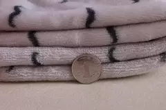Conjunto de roupas para bebês recém-nascidos, criança macia, jaqueta, calça, desenhos animados, meninos, meninas, voar, primavera, outono, 0-24M, 2pcs - Wolf Magazine