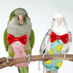 Fralda lavável para papagaio com gravata borboleta, roupas fofas para animais de estimação, frutas coloridas, cacopsita, pombos, pássaros de estimação, roupas de vôo s m l na internet