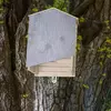 Casa para morcegos profissional fácil de terra e dobrar Esay para instalar abrigo de proteção de caixa de morcego de madeira resistente às intempéries premium
