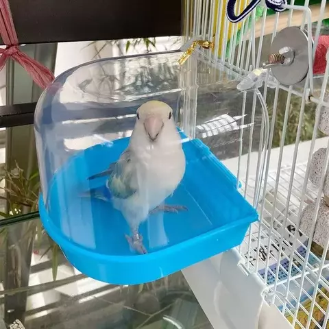 Caixa de chuveiro para banheira de pássaros, caixa de plástico, banheira de água para animais de estimação, tigela de pássaros, papagaios, periquito, pendurado, gaiola de banho de pássaros, acessórios