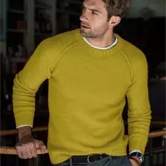 Casual Slim Fit masculino malha camisola, o-pescoço malhas, pulôver monocromático, outono, inverno, conforto, novo, S-3XL - comprar online