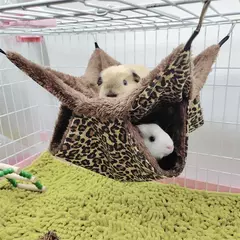 Rede de hamster de pelúcia quente pequeno animal dupla camada engrossar saco de dormir ninho animais de estimação rato esquilo pendurado gaiola casa kta? - loja online