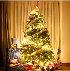 Decorativa LED String Fairy Lights, Lâmpada de férias ao ar livre, Guirlanda para árvore de Natal, Decoração de casamento, 50m, 100m, 110V, 220V na internet