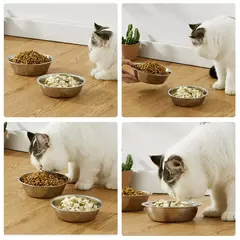 Tigela para alimentação de animais de estimação, grande capacidade, aço inoxidável, comida para cães e gatos, tigela alimentadora de metal, durável e barata - Wolf Magazine