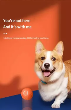 Bola de brinquedo inteligente para cachorro, brinquedo interativo eletrônico para animais de estimação, bola móvel, usb, movimento automático, saltando, bola de brinquedo, filhote de cachorro, produto para gato na internet