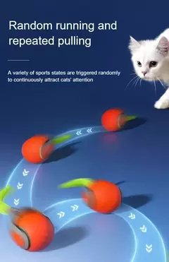 Brinquedos interativos de bola para gatos, bola de rolamento automática com cauda falsa, brinquedo elétrico inteligente recarregável por USB para animais de estimação para provocador e treinamento - Wolf Magazine
