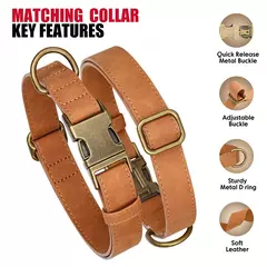 Ajustável coleira de couro PU e trela, durável pet coleiras, chumbo corda, colar macio, pequeno, médio, cães grandes, buldogue na internet