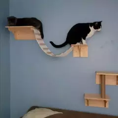 Prateleiras de escalada para gatos montadas na parede Casa para gatos Ponte para - Wolf Magazine