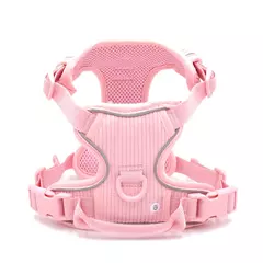 Coleira de cachorro personalizada, arnês para cães gravado, leve, veludo, designer, coleira e coleira, conjunto acolchoado, totalmente ajustável - comprar online